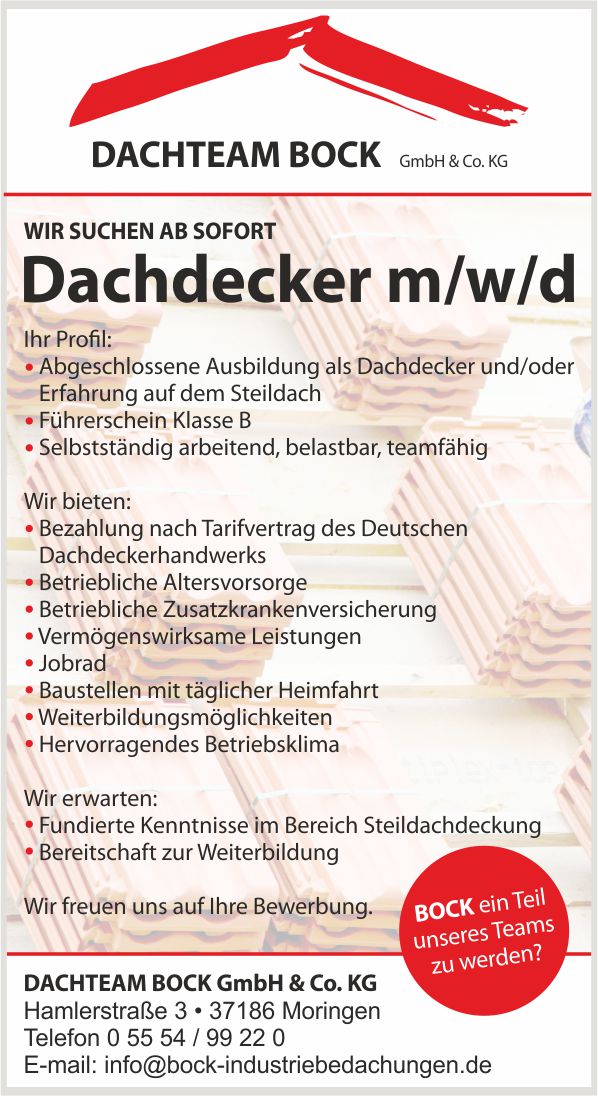 Dachdecker (m/w/d) - DACHTEAM BOCK GmbH & Co. KG