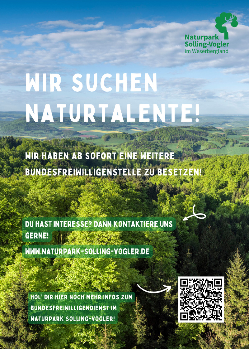 Wir suchen Naturtalente! Bundesfreiwilligenstelle zu bestetzen (m/w/d) - Naturpark Solling-Vogler 