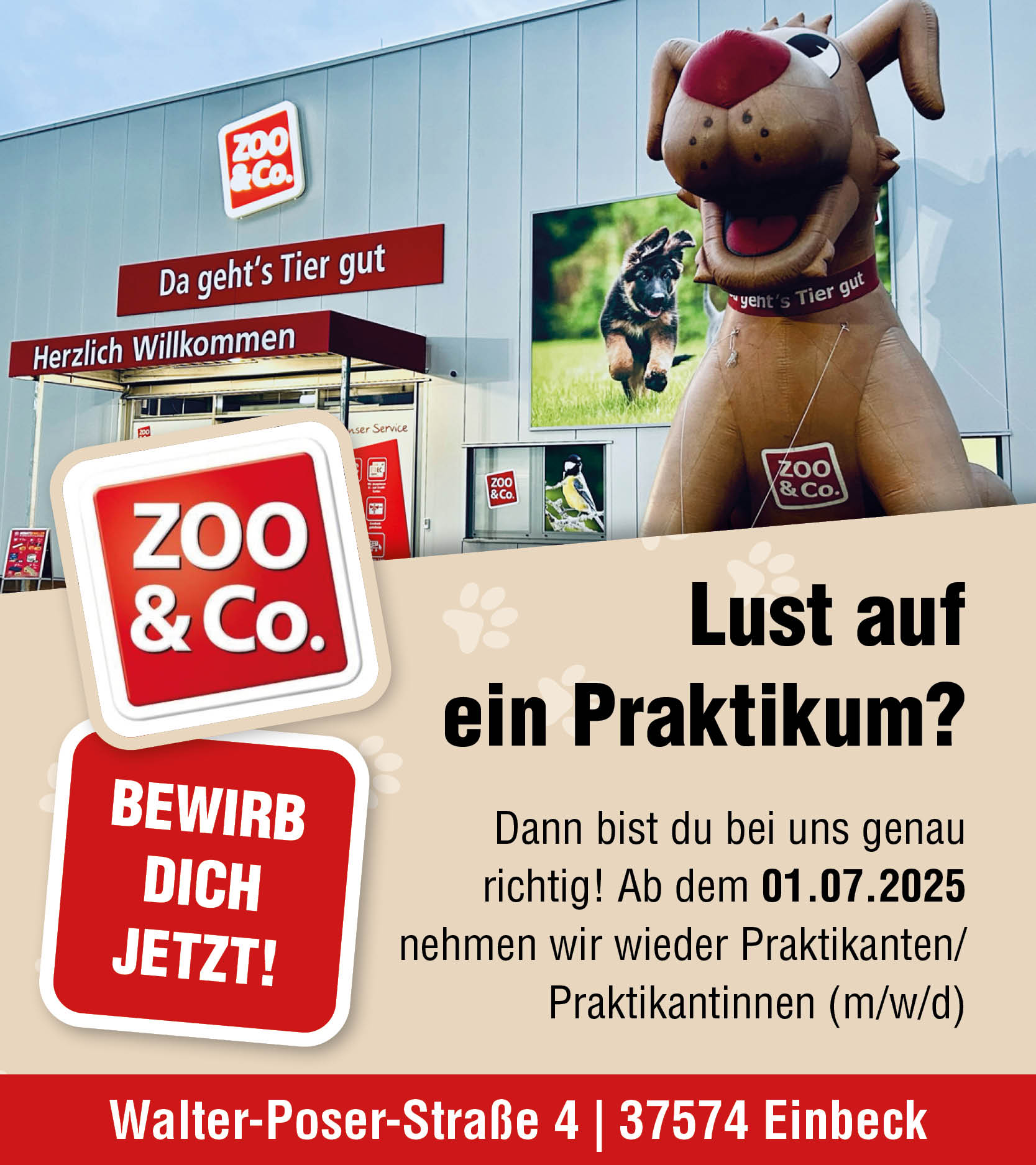 Praktikum (m/w/d) ab dem 01.07.2025 - Zoo & Co. Einbeck 